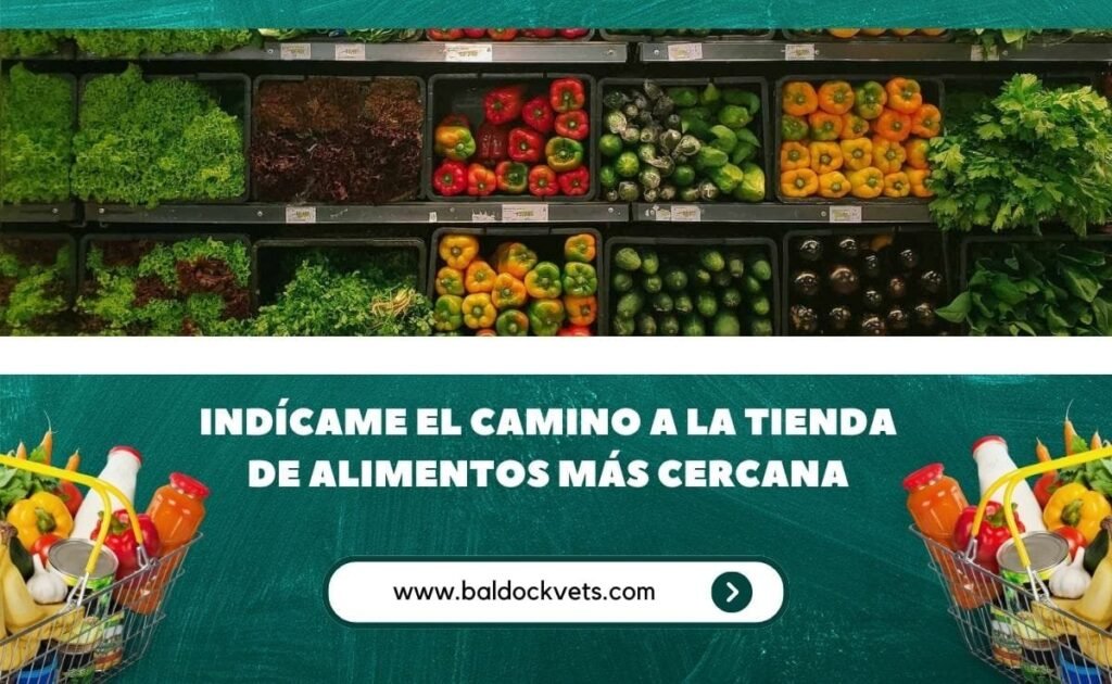 indícame el camino a la tienda de alimentos más cercana
