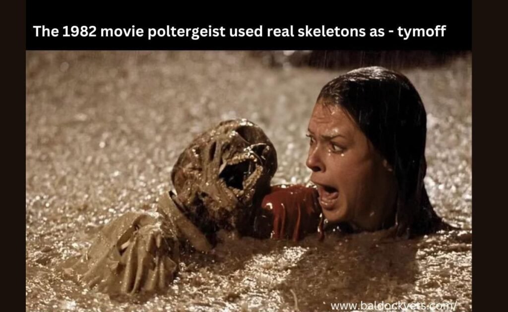 the 1982 movie poltergeist used real skeletons as - tymoff