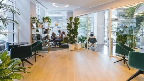Crafting sustainable work environments: Embracing eco-friendly Office designs