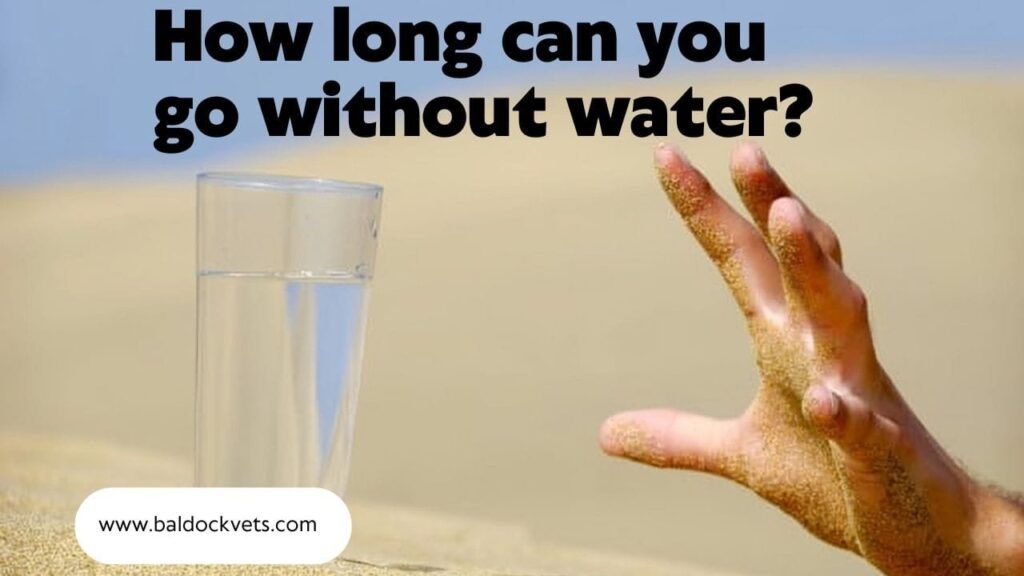 how long can you go without water