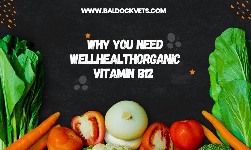 wellhealthorganic vitamin b12