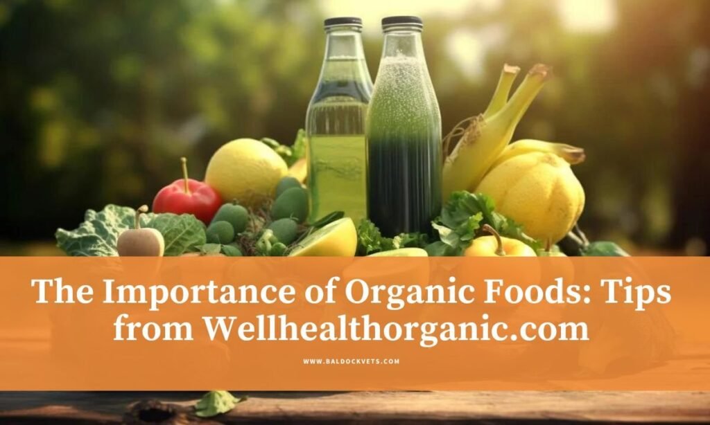 wellhealthorganic.com