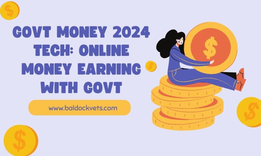govt money 2024 tech