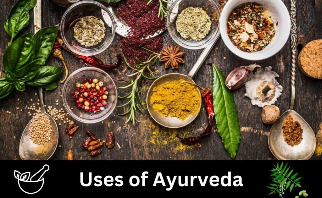 wellhealthorganic.com:ayurveda-dinner