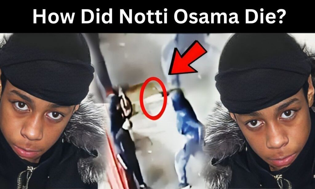 notti osama
